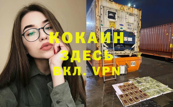 молекула духа Новозыбков