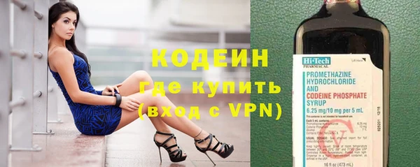 молекула духа Новозыбков