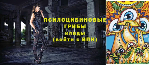 молекула духа Новозыбков