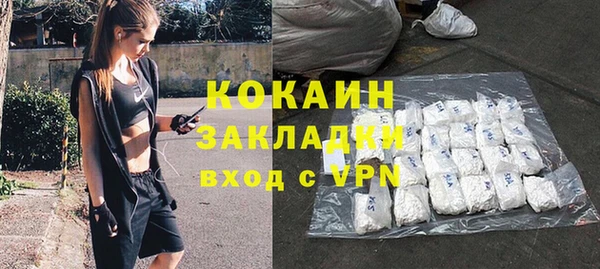 молекула духа Новозыбков