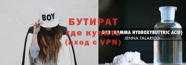 сатива Новокубанск