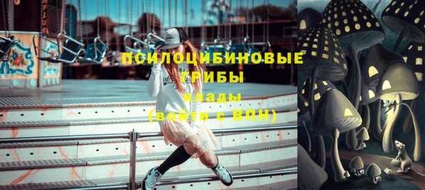 молекула духа Новозыбков