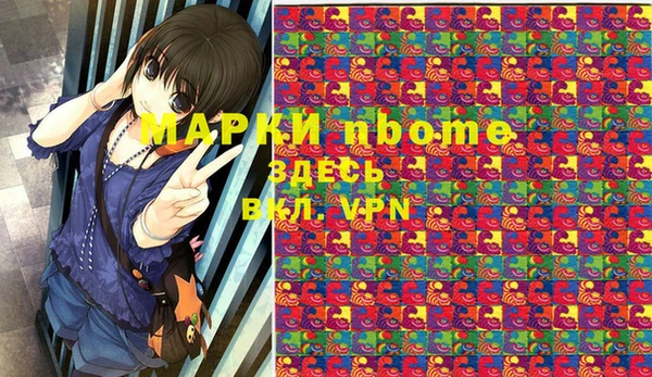 молекула духа Новозыбков