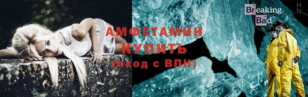 молекула духа Новозыбков