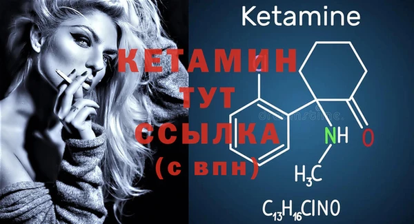 молекула духа Новозыбков