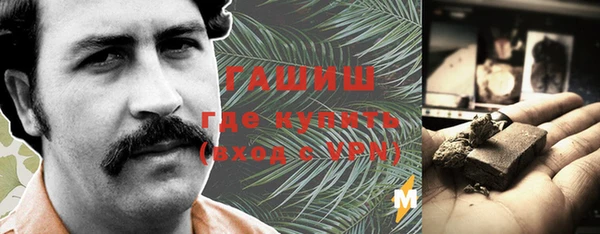 молекула духа Новозыбков