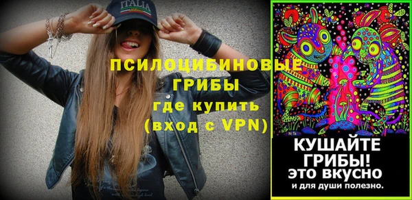 сатива Новокубанск