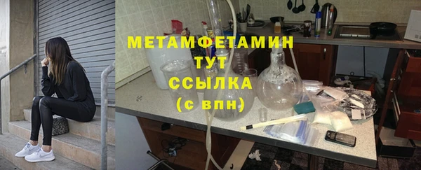 молекула духа Новозыбков