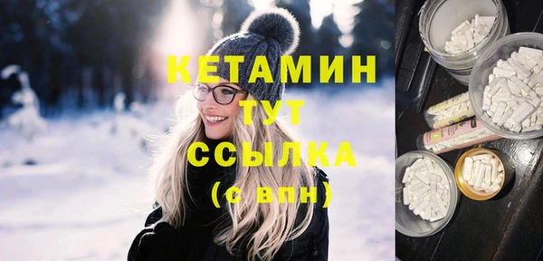 молекула духа Новозыбков