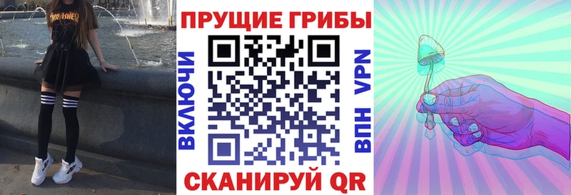 Галлюциногенные грибы мицелий  Холмск 